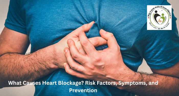What Causes Heart Blockage? Risk Factors, Symptoms, and Prevention