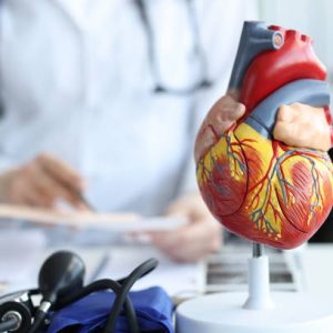 Artificial plastic model of human heart standing against background of cardiologist closeup. Cardiac care concept